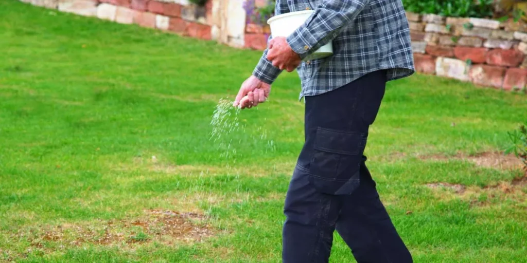 What Are the Best Tips for Lawn Care During Summer?