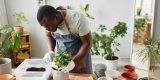 What Are the Best Soil Mixes for Indoor Gardening?